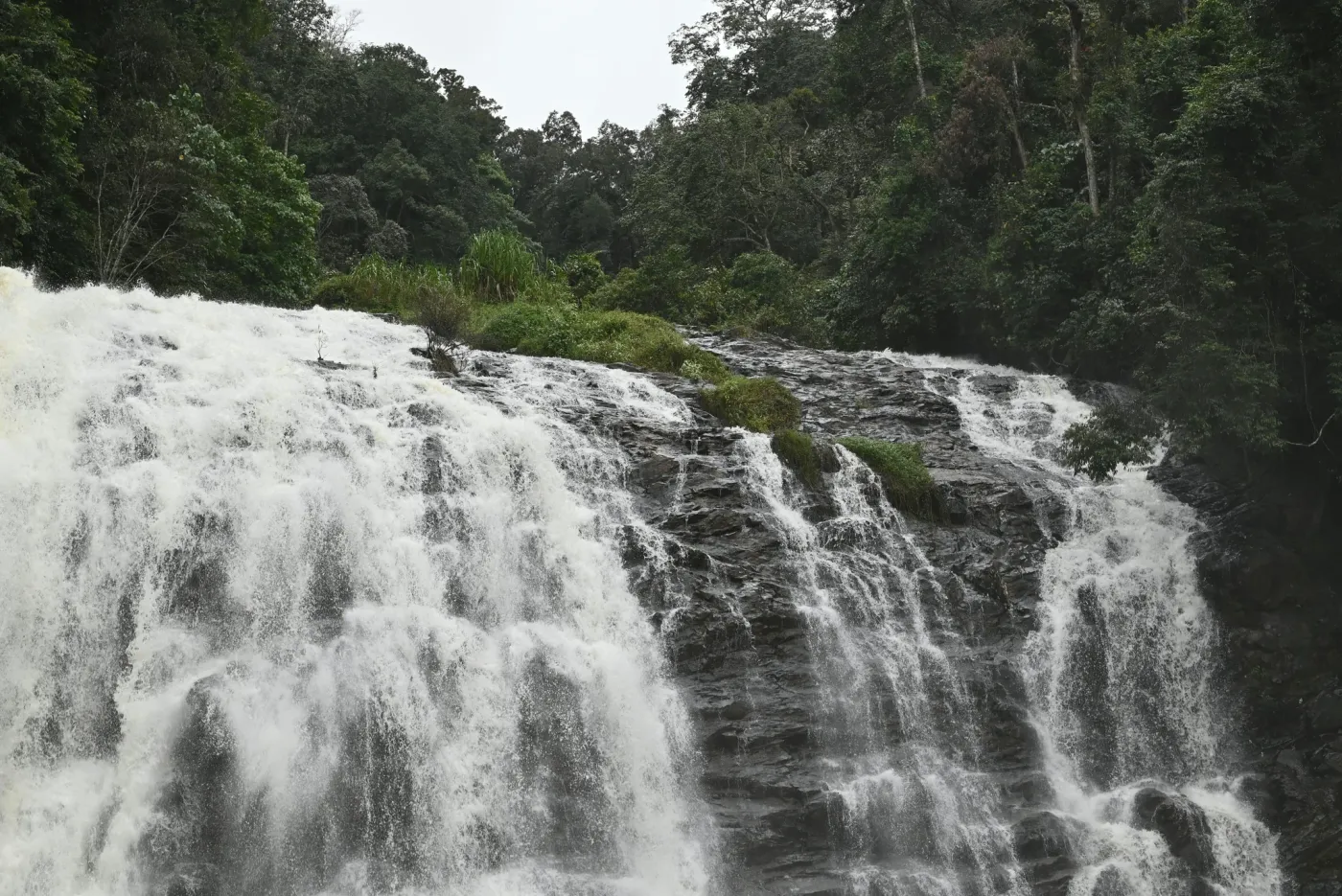 Coorg Coffee Trail Escape