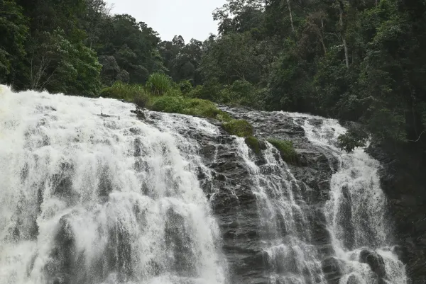 Mysore Coorg Nagarhole Safari Tour 3