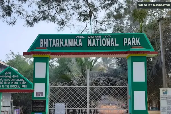 Odisha Wildlife Expedition 1