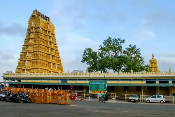 Mysore Coorg Nagarhole Safari Tour 2