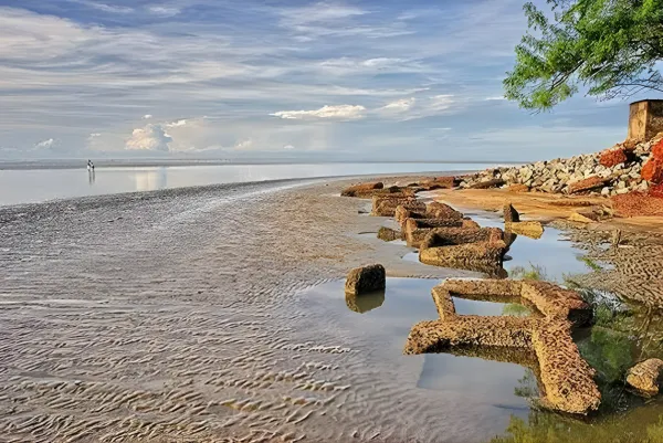 Puri & Chilika Lake Tour 5