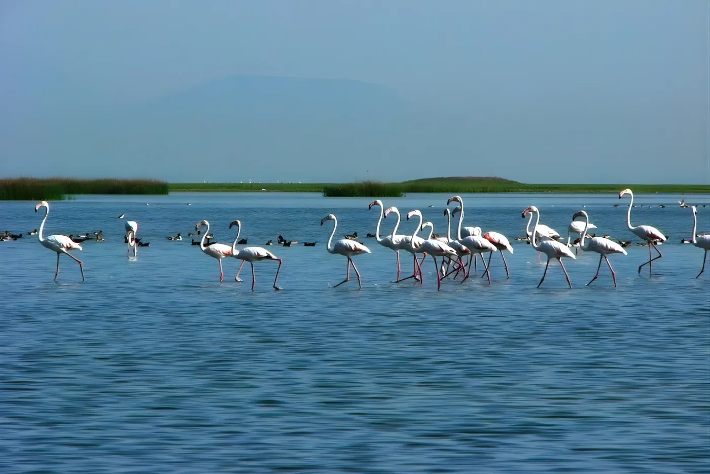 Puri & Chilika Lake Tour