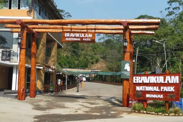 Kerala Bliss Escape: Munnar & Alleppey 1