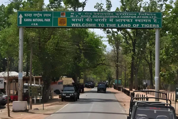 Bandhavgarh & Kanha Tiger Safari Tour 2