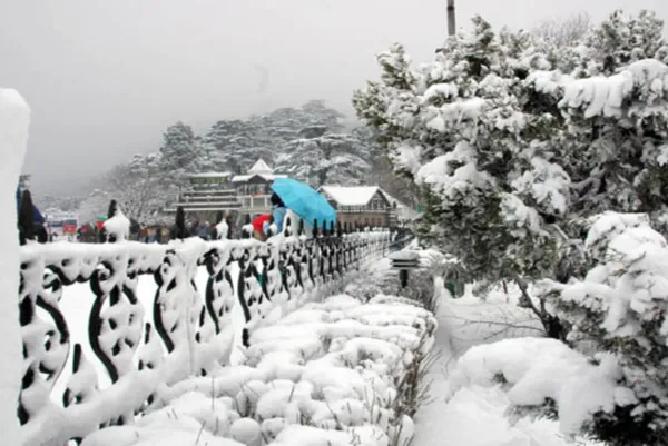 Himalayan Charm – Shimla Tour 1