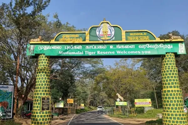 Ooty Queen of Hills Escape 4