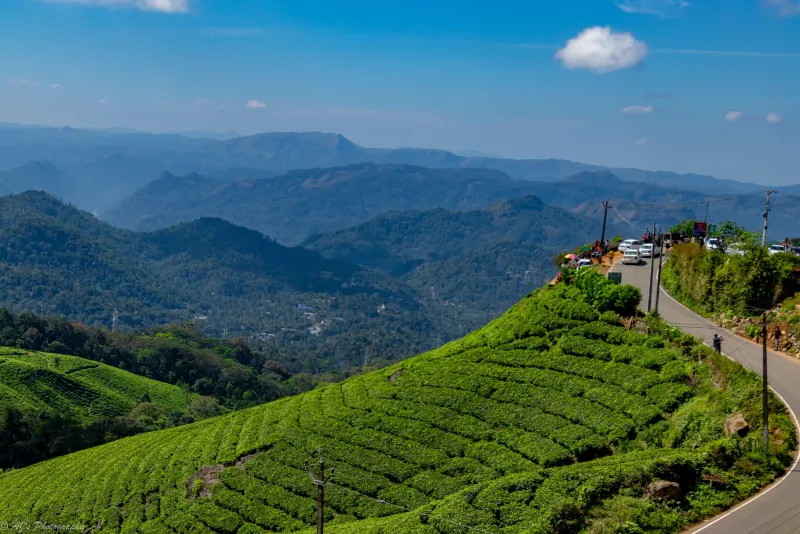 Kerala Bliss Escape: Munnar & Alleppey
