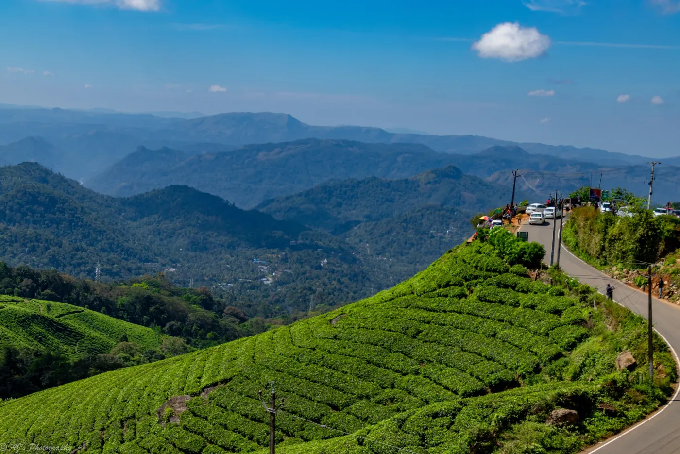Kerala Bliss Escape: Munnar & Alleppey