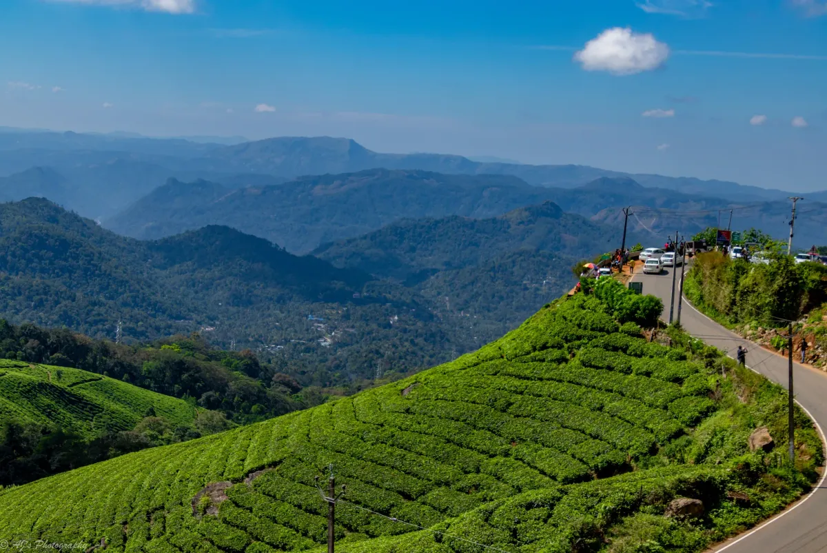 Kerala Bliss Escape: Munnar & Alleppey — kerala travel package