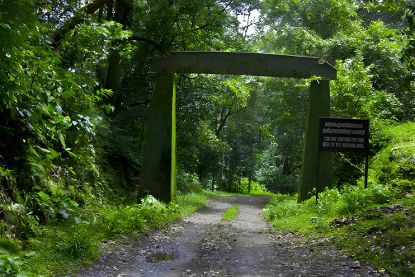 Wayanad Nature Escape 3