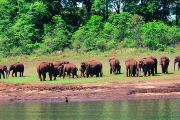 Kerala Grand Escape: Hills, Backwaters & Beaches 3