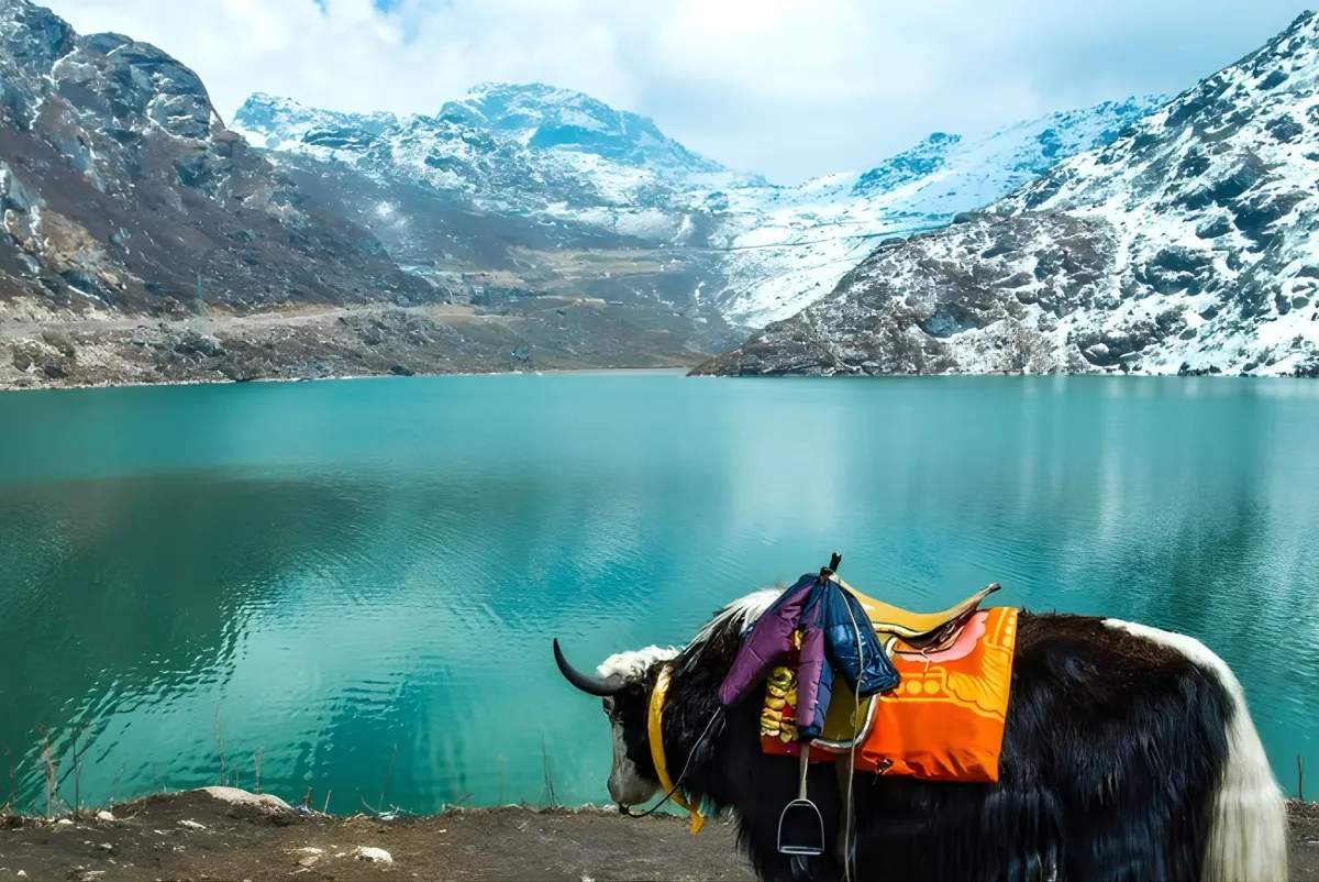 Darjeeling & Gangtok Tour — sikkim travel package