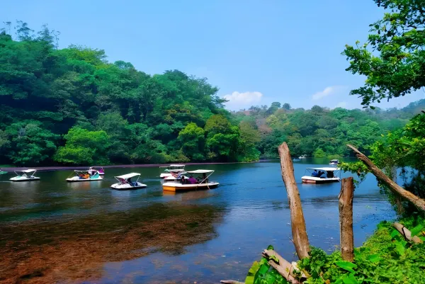 Hidden Kerala: Vagamon & Idukki Tour 3