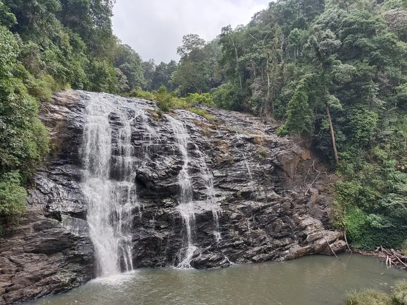 Coorg Coffee Trail Escape
