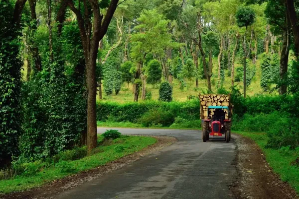 Coorg Coffee Trail Escape 3