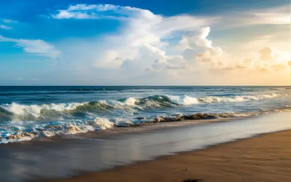 Puri & Chilika Lake Tour 6