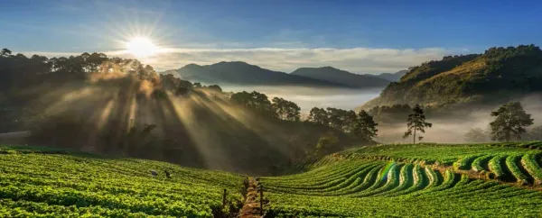 Coorg Coffee Trail Escape 4