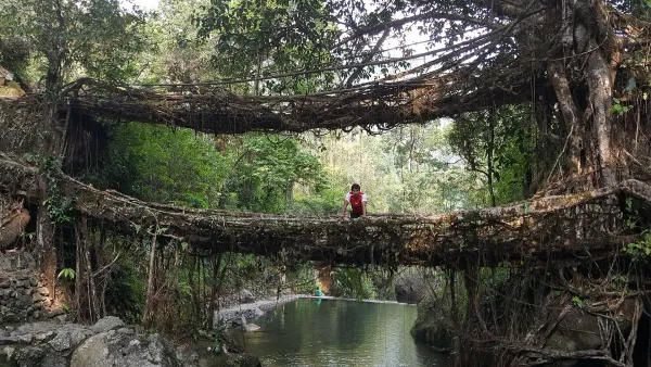 Meghalaya Tour Package 7