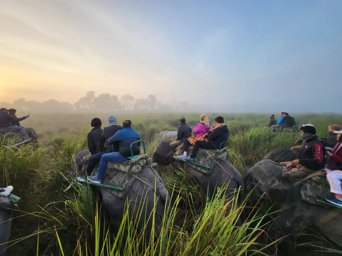 Kaziranga Safari with Meghalaya Tour Package — meghalaya travel package