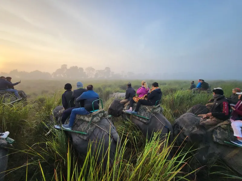 Kaziranga Safari with Meghalaya Tour Package