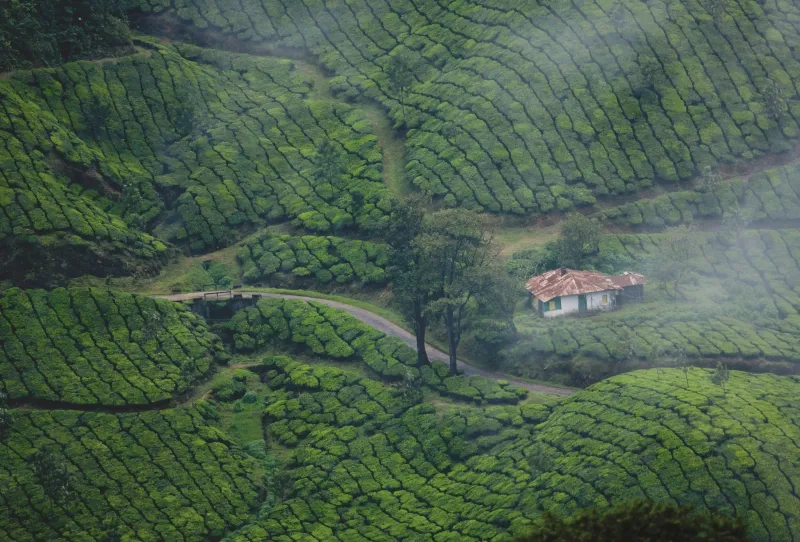 Best Places to Visit in July in India (2026) – Monsoon Magic, Hill Escapes & Hidden Gems