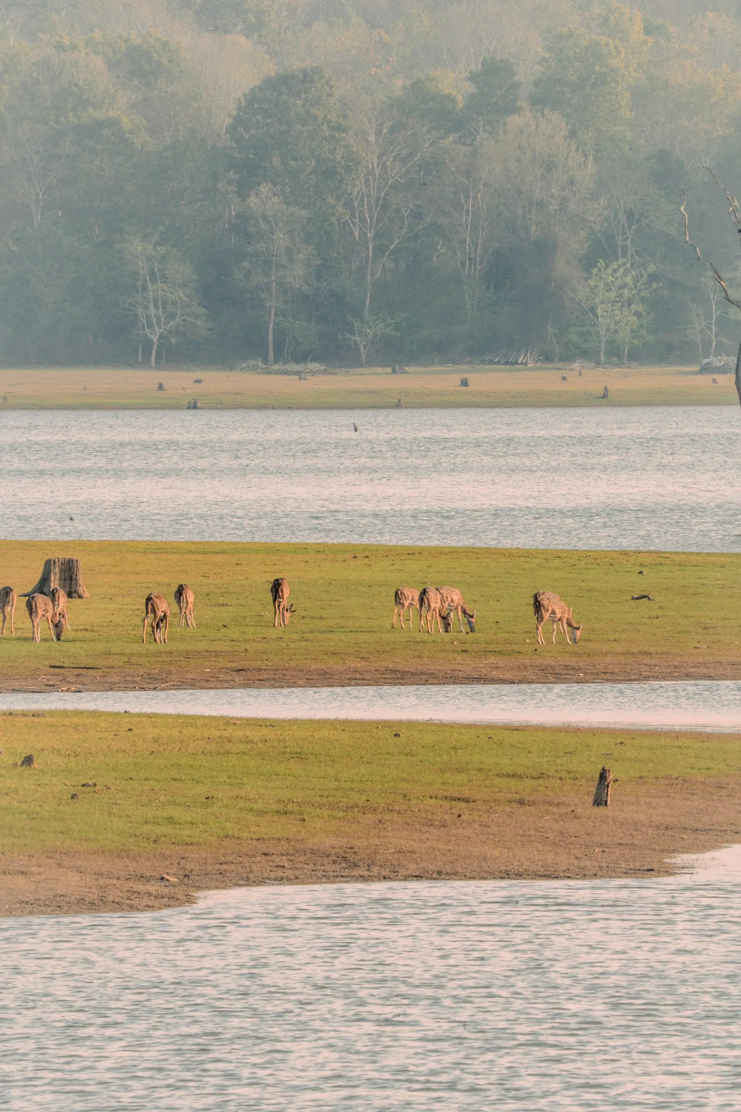 Nagarhole National Park Karnataka