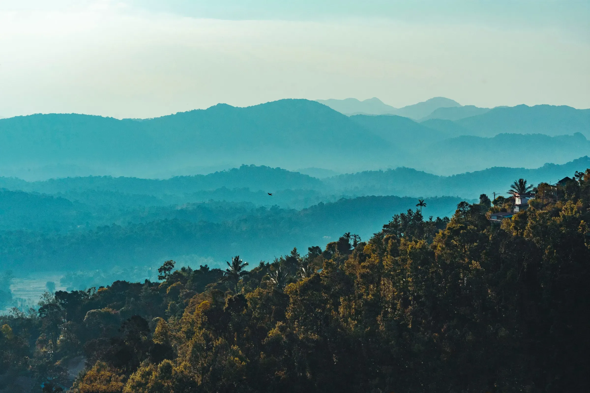 Raja’s Seat Coorg Madikeri Karnataka