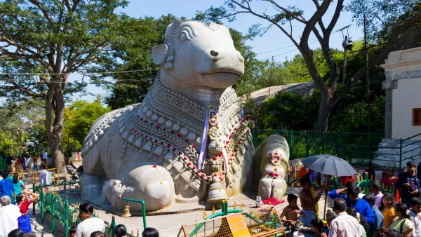 Mysore Coorg Nagarhole Safari Tour 6