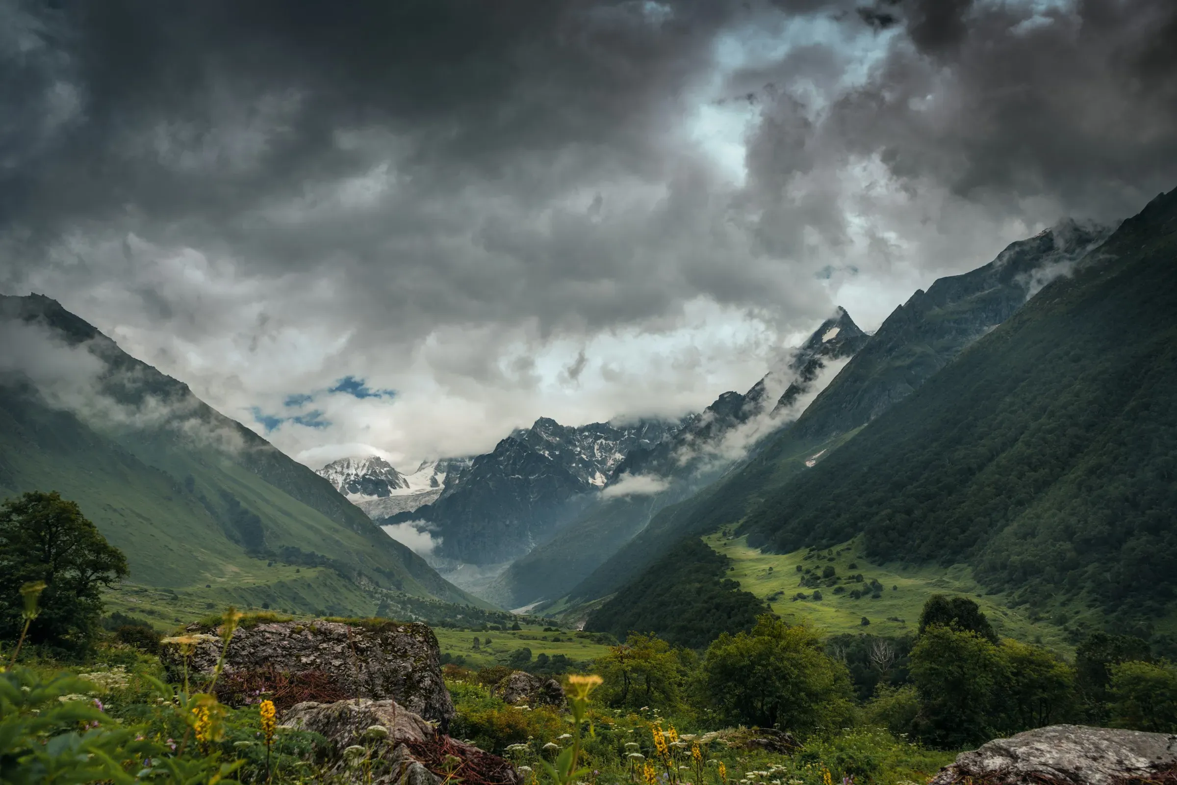 Valley of Flowers, Uttarakhand in monsoon