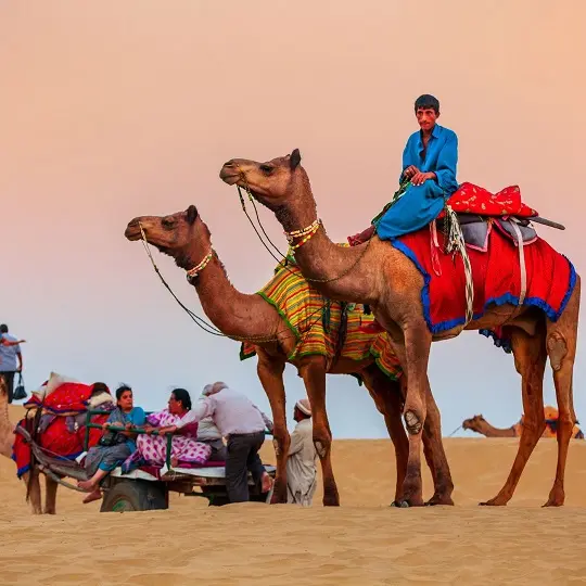 Jaisalmer Desert Delight